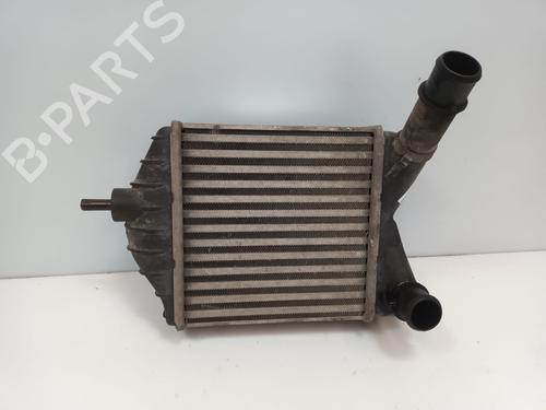 Intercooler Intercooler FIAT IDEA (350_) 1.3 D Multijet (90 hp) 34098340 34098340