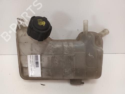 Used Expansion tank RENAULT GRAND SCÉNIC II (JM0/1_) 2.0 dCi (JM1K) (150 hp) 13121011