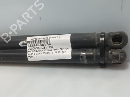 Tailgate lift support FORD C-MAX (DM2) 1.8 TDCi | BP31946530C138