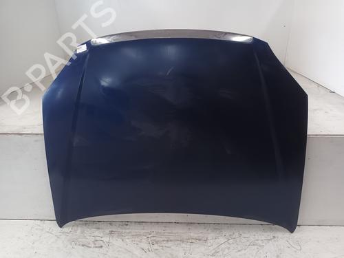 Used Hood FIAT CROMA (194_) 1.9 D Multijet (194AXC1B, 194AXC12) (150 hp) 18354037