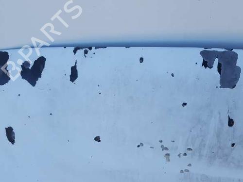 Hood RENAULT TRAFIC II Platform/Chassis (EL) 1.9 dCi 100 (EL0C) | BP12816964C1 