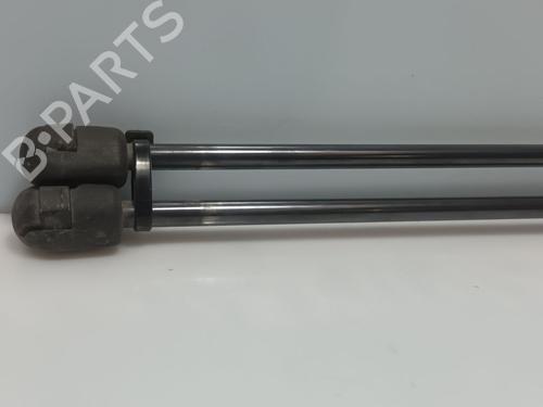 Tailgate lift support FORD C-MAX (DM2) 1.8 TDCi | BP31946530C138