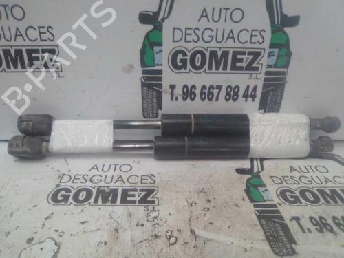 Tailgate lift support VW VENTO (1H2) 1.9 TD | BP13975638C138 