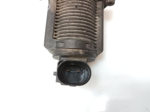 Egr FIAT GRANDE PUNTO (199_)  | BP19111157M69 