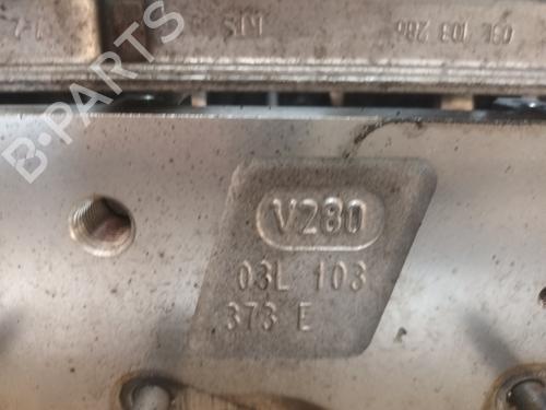 Cylinder head SEAT LEON (1P1) | BP31210130M5