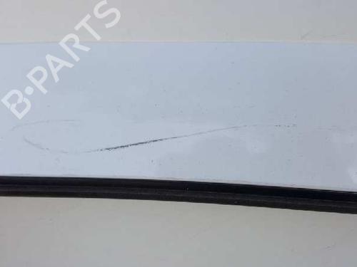 Left rear door RENAULT LAGUNA II (BG0/1_) 1.9 dCi (BG08, BG0G) | BP12803002C4 