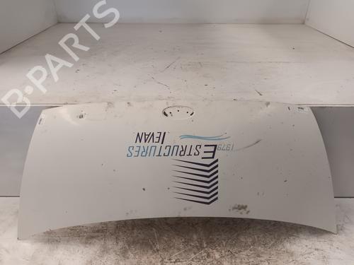 Hood FORD TRANSIT Van (FA_ _) 2.0 DI (FAE_, FAF_, FAG_) BLANCO |