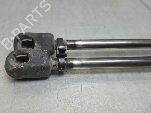 Tailgate lift support MERCEDES-BENZ A-CLASS (W169) A 160 (169.031, 169.331) | BP13975674C138 