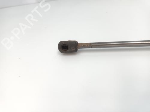 Hood lift support RENAULT MEGANE III Hatchback (BZ0/1_, B3_) 1.5 dCi (BZ09, BZ0D, BZ1W, BZ29, BZ14) | BP27624286C139 