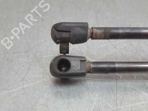Tailgate lift support FORD USA WINDSTAR (A3) 3.8 V6 | BP13970186C138