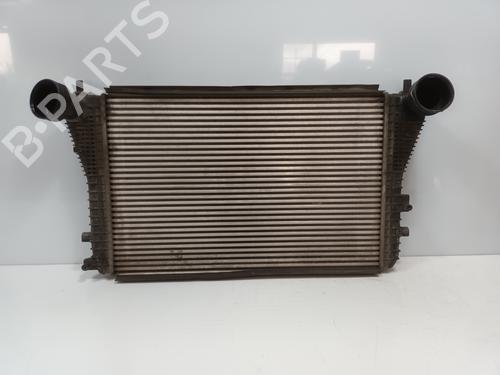 Used Intercooler SKODA OCTAVIA II (1Z3) 1.9 TDI (105 hp) 19417655