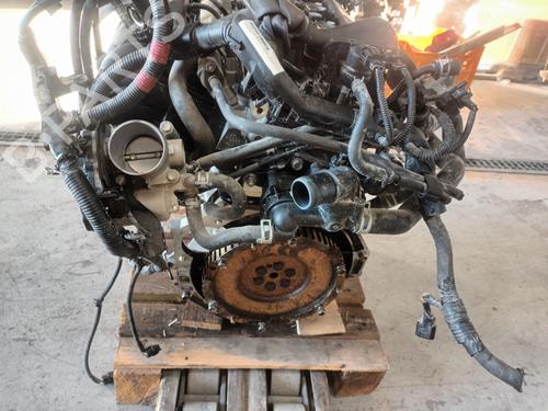 Motor KIA RIO IV (YB, SC, FB) [2017-2026]  31343492