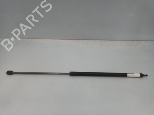 Used Hood lift support RENAULT MEGANE III Hatchback (BZ0/1_, B3_) 1.5 dCi (BZ09, BZ0D, BZ1W, BZ29, BZ14) (110 hp) 27624286