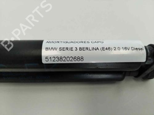 Hood lift support BMW 3 (E46) 320 d | BP13977851C139 