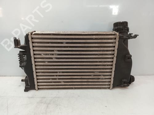 Intercooler NISSAN QASHQAI II (J11, J11_) | BP29927381M30