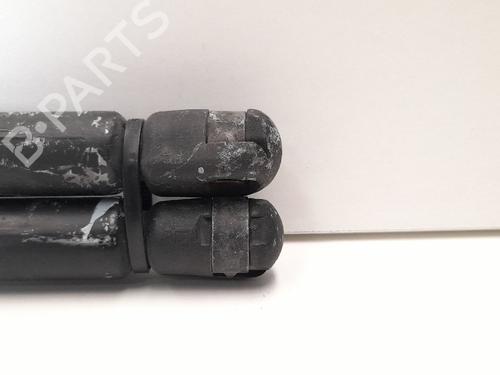 Tailgate lift support FORD FIESTA V (JH_, JD_) 1.3 | BP13978077C138 