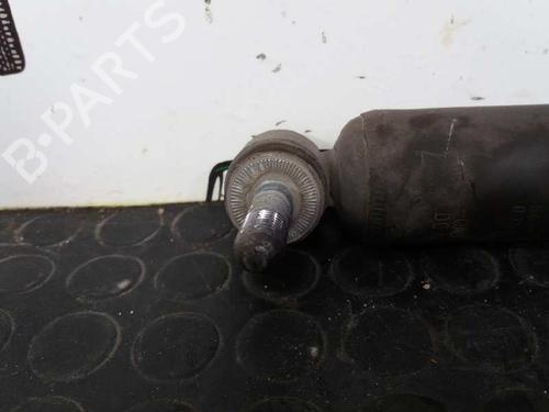 Right rear shock absorber RENAULT MEGANE III Coupe (DZ0/1_) 1.6 16V (DZ0U, DZ1B, DZ1H) | BP12689533M19 