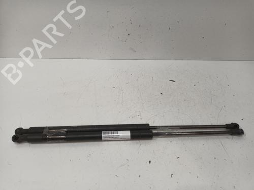 Used Hood lift support CITROËN XSARA (N1) 1.9 D (70 hp) 17333321