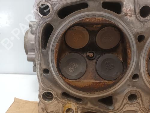  - Image 7