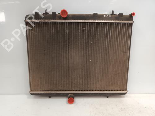 Used Water radiator DS DS 4 / DS 4 CROSSBACK (NX_) [2015-2018]  26686869