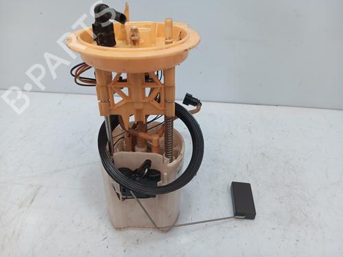 Fuel pump AUDI Q3 (8UB, 8UG)  | BP24396094M76 
