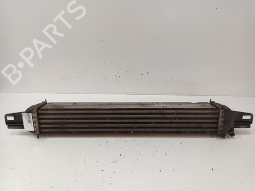 Intercooler FIAT FIORINO Box Body/MPV (225_) 1.3 D Multijet (225BXD1A, 225BXB1A, 225BXB11) (75 hp) 17963065