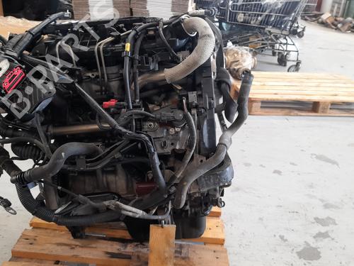 Engine FORD FIESTA VI (CB1, CCN) 1.6 TDCi | BP19334397M1 