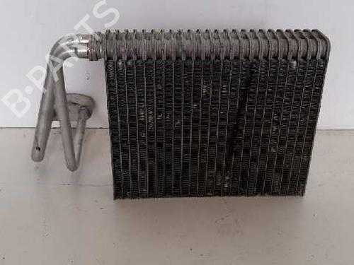 Air conditioning evaporator RENAULT TRAFIC II Van (FL)  | BP12699163M109 