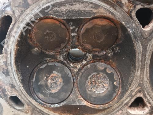 Cylinder head FORD FOCUS II (DA_, HCP, DP)  | BP19934988M5 