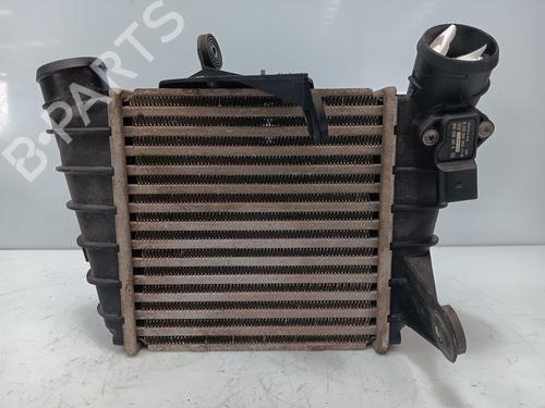 Used Intercooler SEAT IBIZA III (6L1) [2002-2009]  24800368