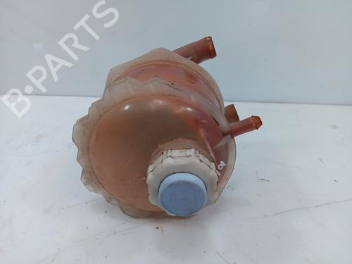 Expansion tank RENAULT 19 II (B/C53_)  | BP29726616C120 