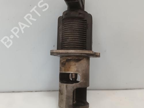 Egr RENAULT ESPACE IV (JK0/1_)  | BP29434947M69 