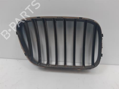 Grille BMW X5 (E53) 3.0 d | BP18963043C40 