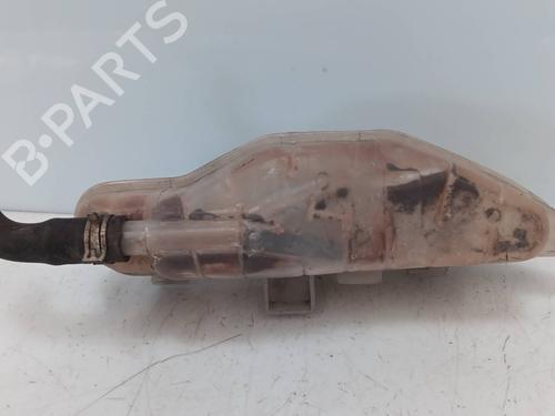 Expansion tank RENAULT CLIO III (BR0/1, CR0/1) 2.0 16V (BR0C, BR0K, CR0C, CR0K) | BP20136817C120 
