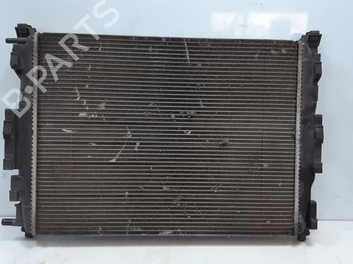 Used Water radiator Water radiator RENAULT SCÉNIC II (JM0/1_) [2003-2010] 36439032 36439032
