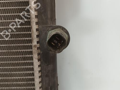 Water radiator SEAT ALHAMBRA (7V8, 7V9) 2.8 V6 | BP29375590M31 