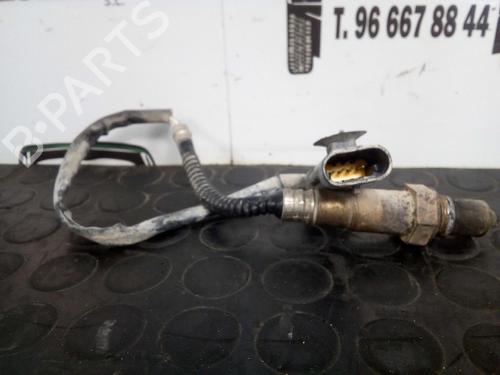Elektronische sonde RENAULT MEGANE II (BM0/1_, CM0/1_) 1.4 16V (BM0B, CM0B) (98 hp) 12810493
