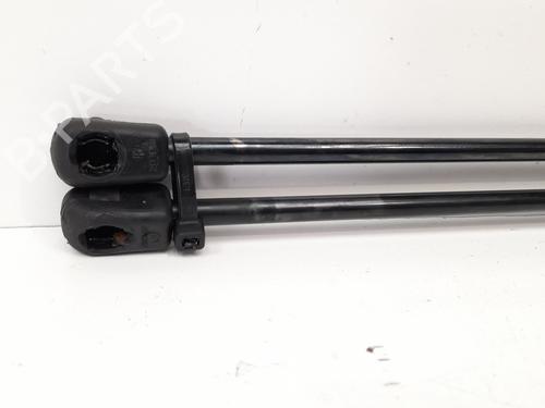 Tailgate lift support TATA INDICA 1.4 i | BP13978992C138