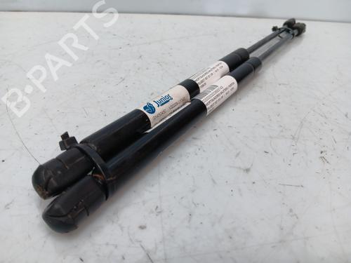 Tailgate lift support PEUGEOT 307 (3A/C) 2.0 HDi 90 | BP25143203C138 