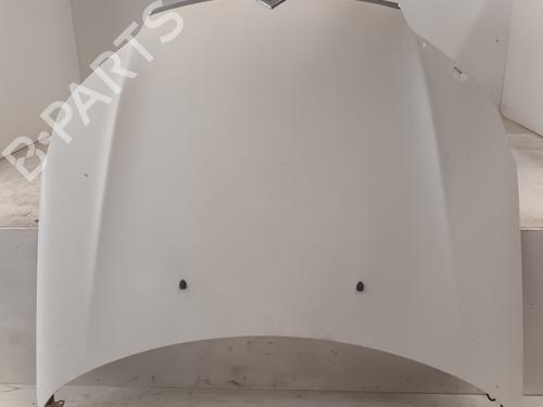Used Hood CITROËN C5 III (RD_) 1.6 HDi 110 (RD9HL0, RD9HR8, RD9HRA) (112 hp) 28072785