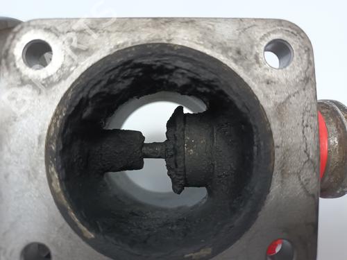 Egr BMW 5 (E39) 530 d | BP18418380M69