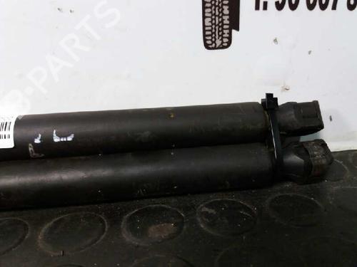 Tailgate lift support CITROËN SAXO (S0, S1) 1.1 X, SX | BP13987853C138 