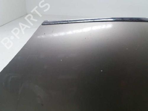 Hood FORD GALAXY I (WGR) 1.9 TDI | BP12730491C1 