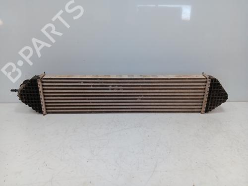 Used Intercooler FORD KUGA II (DM2) 1.6 EcoBoost (150 hp) 24500244