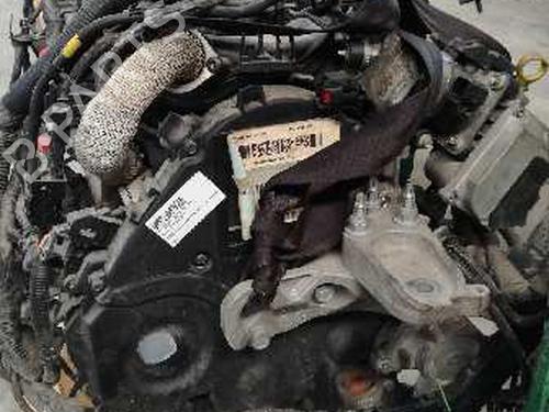 Used Engine FORD FIESTA VI (CB1, CCN) 1.6 TDCi (90 hp) 12696766