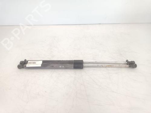 Used Tailgate lift support RENAULT CLIO III (BR0/1, CR0/1) 1.5 dCi (C/BR0G, C/BR1G) (68 hp) 31320098