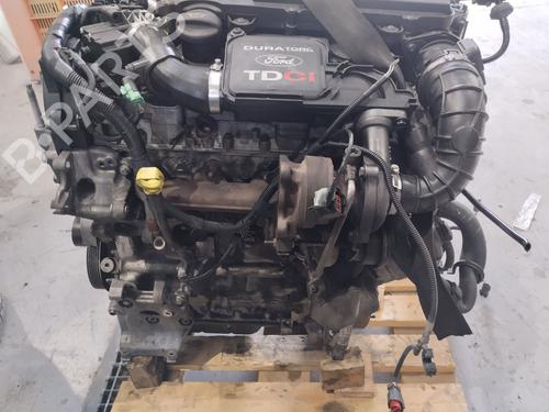 Engine FORD FUSION (JU_) 1.4 TDCi | BP31920491M1