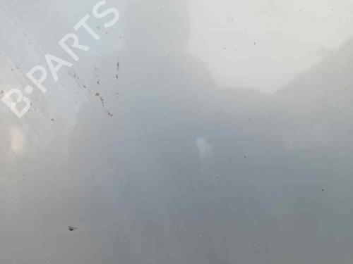Hood RENAULT MEGANE II (BM0/1_, CM0/1_) 1.5 dCi (BM0F, BM0T, BM2B, CM0F, CM0T) | BP12688968C1 