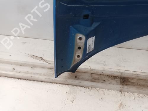 Hood PEUGEOT 307 (3A/C)  | BP24333080C1 