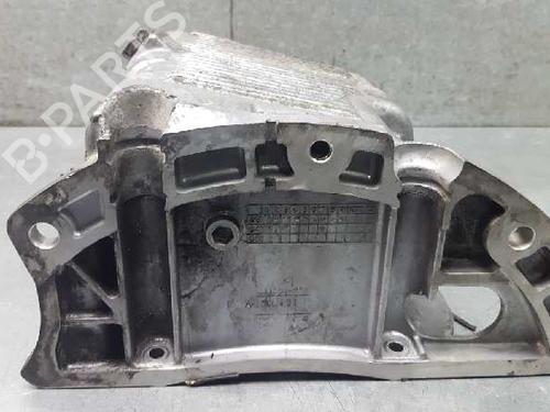 Oil sump CHEVROLET LACETTI (J200) 1.6 | BP13972549M115 